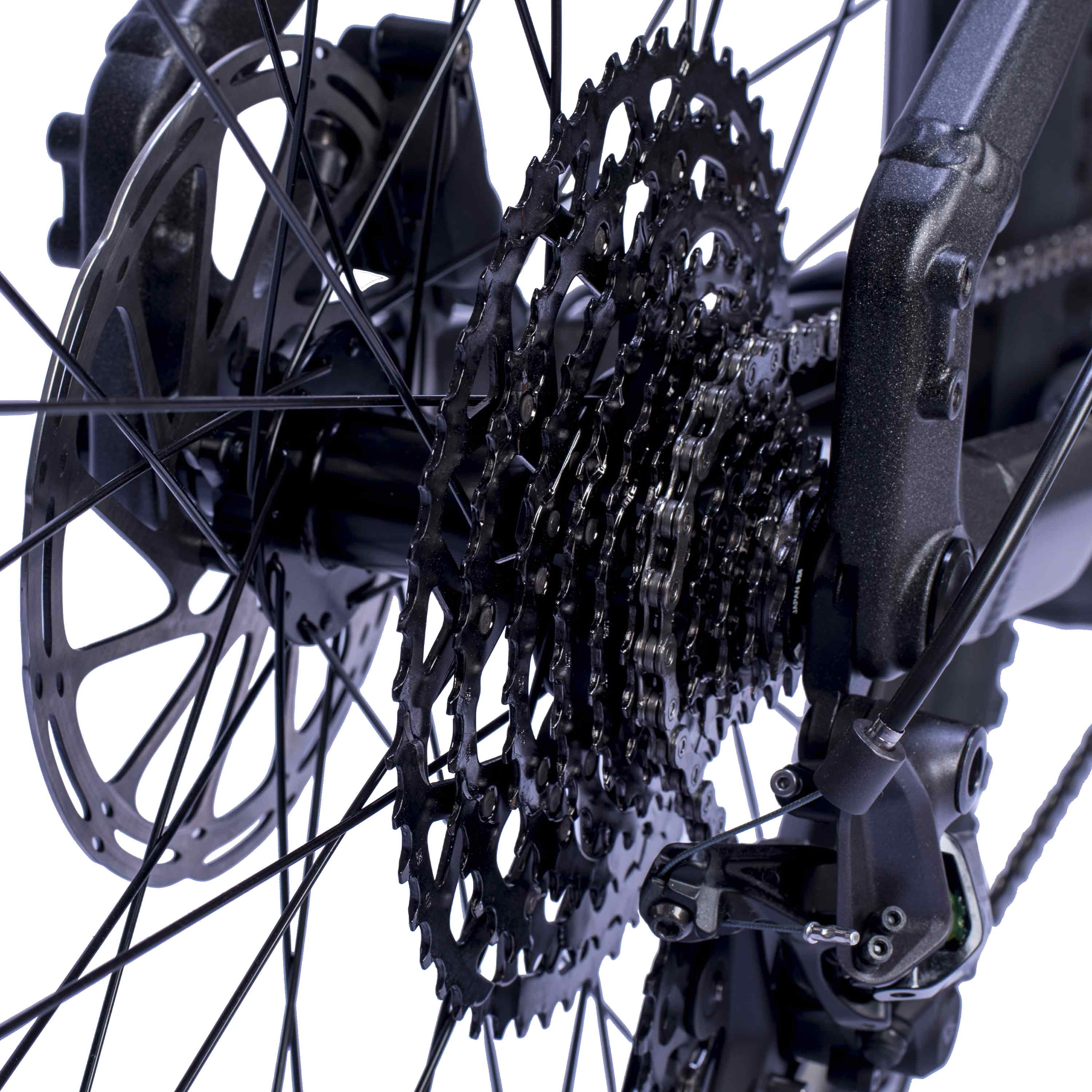 29" Herren E-MTB STREAMER CX11 BOSCH PERFORMANCE LINE CX GEN 5 (120 Nm) Smart System POWERTUBE 600Wh 11 x GANG SHIMANO XT RD-M8310 Schwarz