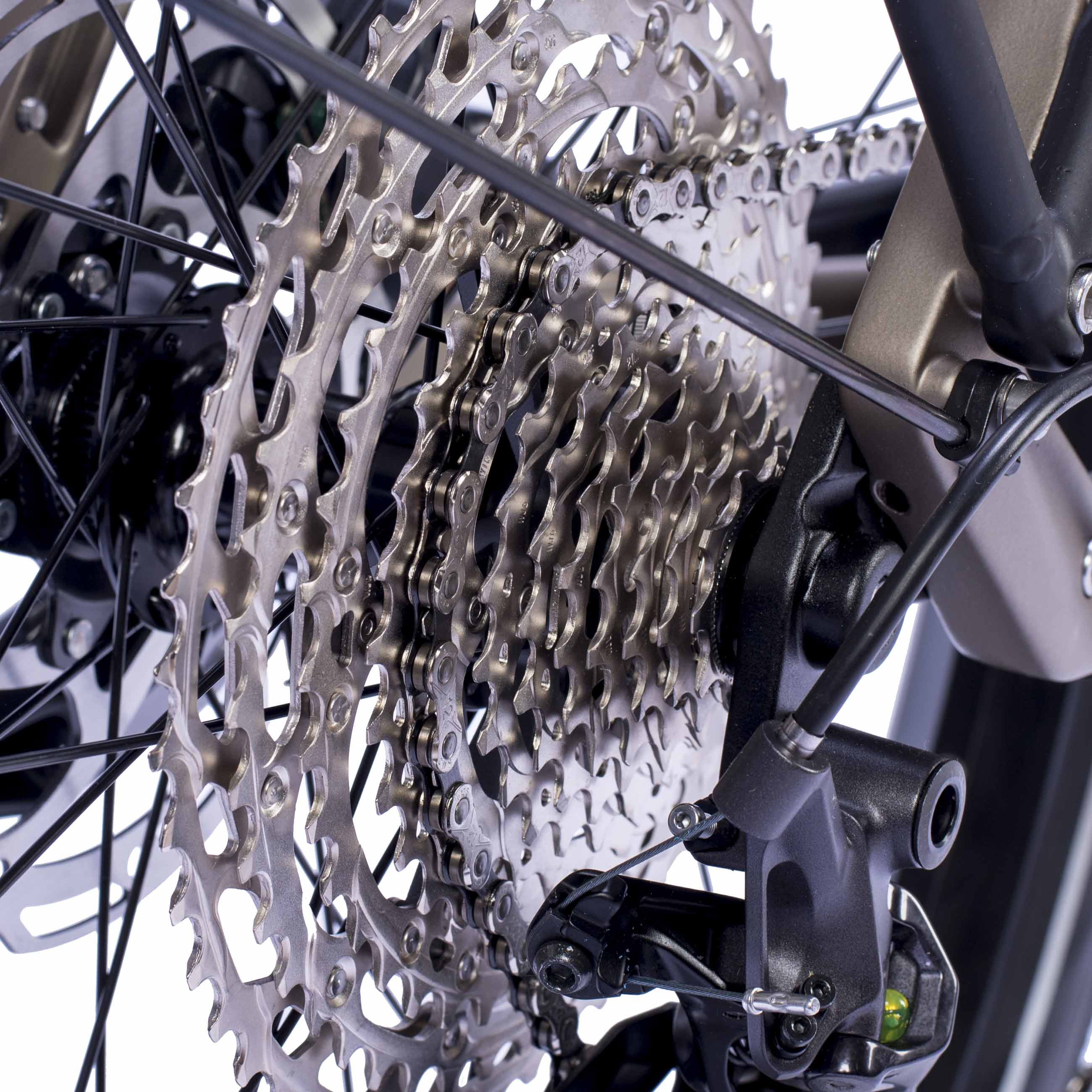 27,5" Damen E-SUV MTB Wave LS TERRA CX1 BOSCH PERFORMANCE LINE PX Smart System POWERTUBE 800 Wh 12 x GANG SHIMANO XT RD-M8100 SGS Beige